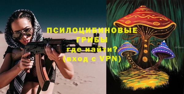 МДПВ Алексеевка