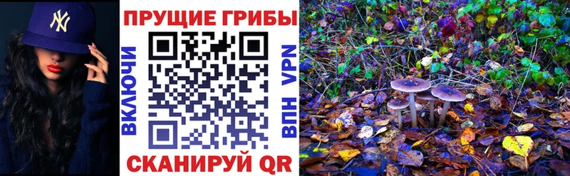 Псилоцибиновые грибы MAGIC MUSHROOMS  Елец 
