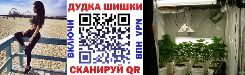 Конопля SATIVA & INDICA Елец